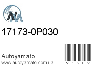 17173-0P030 (NIPPON MOTORS)